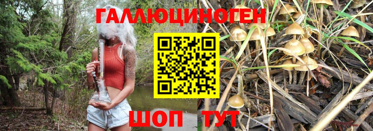 Галлюциногенные грибы ЛСД Новодвинск