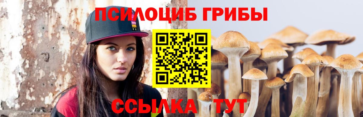 Псилоцибиновые грибы Psilocybe  Вход с VPN  Новодвинск 
